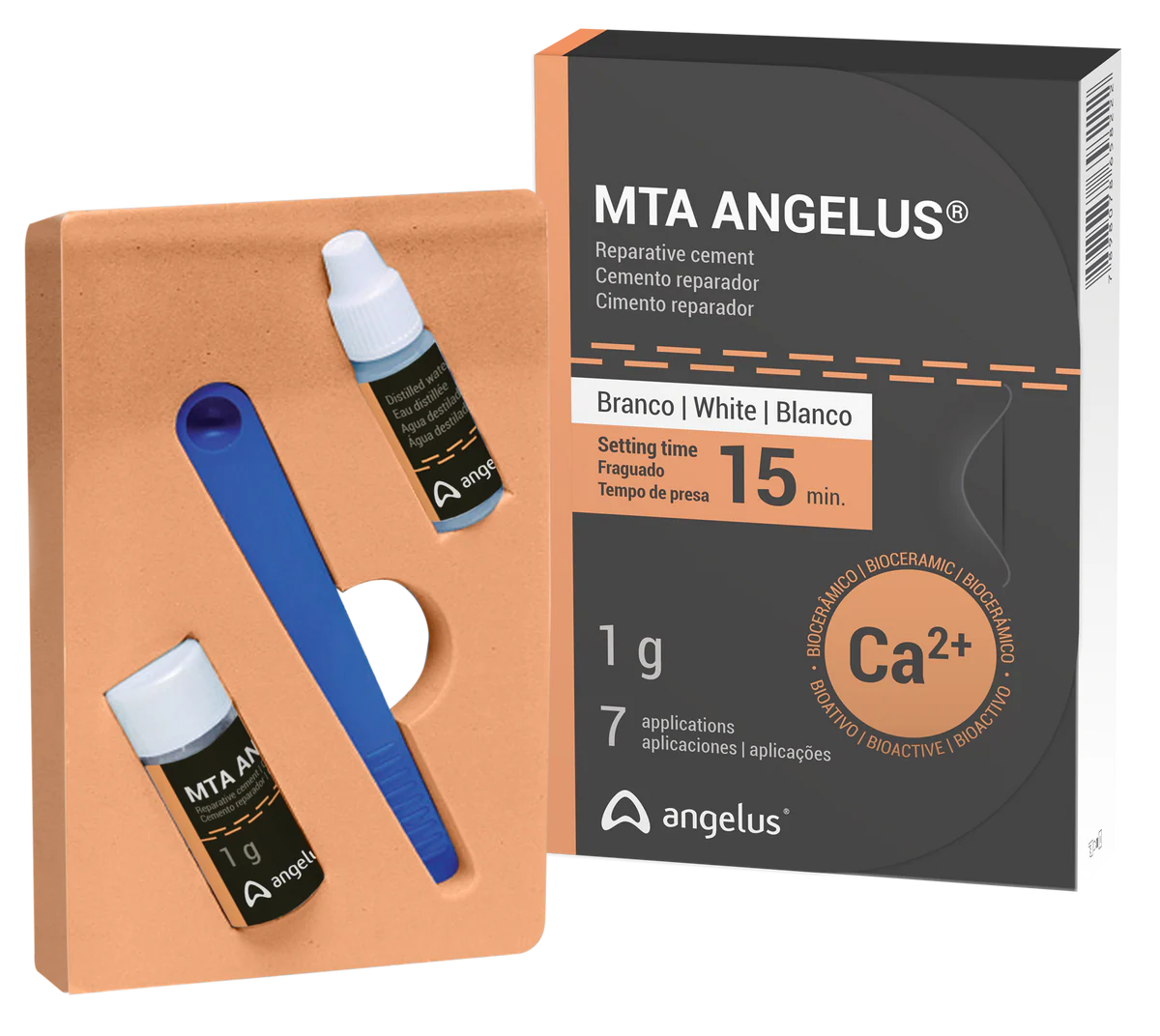 MTA Angelus
