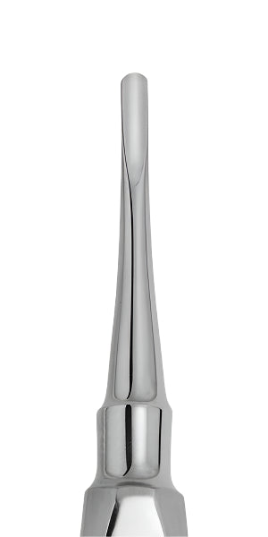 Elevators (Seldin) medesy