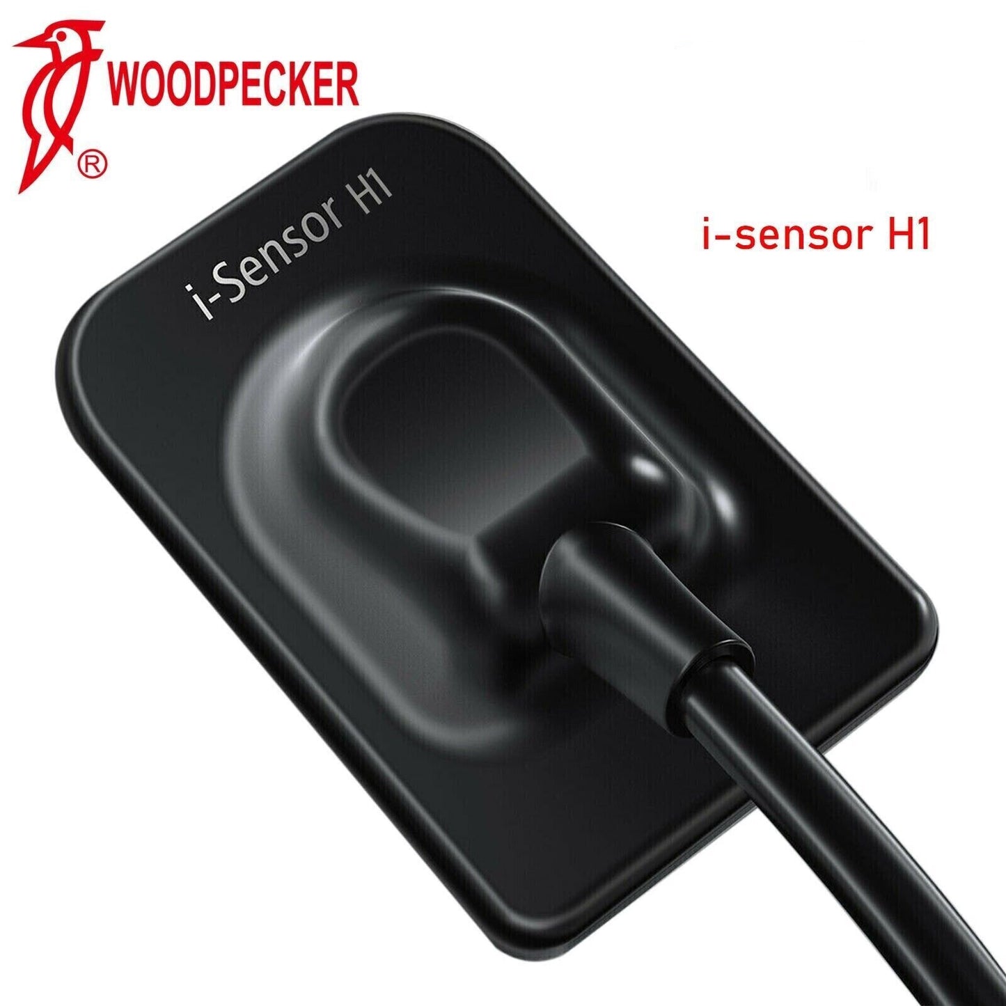 Sensor X-ray Woodpecker